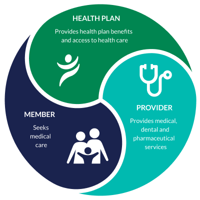 Diagram of a health plan model showcasing the relationship between the member, the provider, and the health plan itself, with icons representing each party in a circular interconnected design.